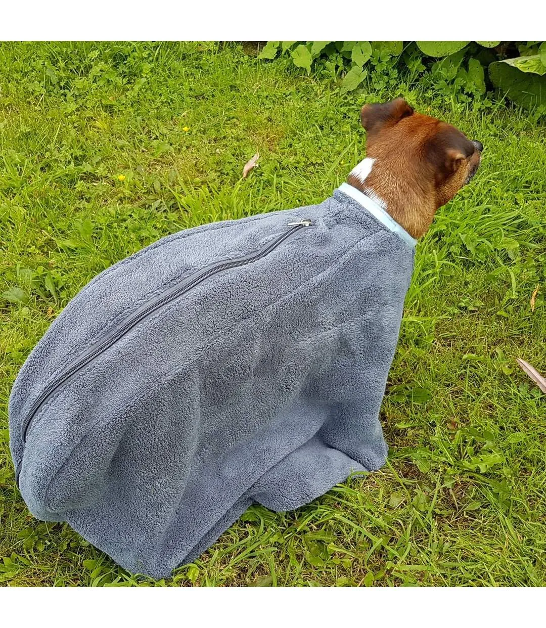 Henry Wag Medium Grey Dog Drying Coat