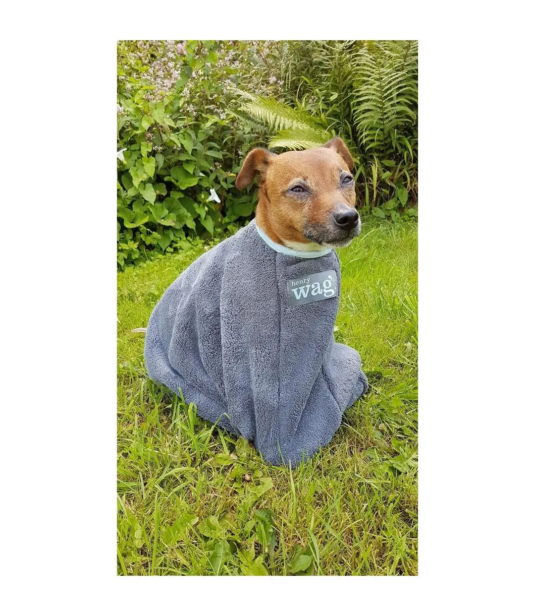 Henry Wag Medium Grey Dog Drying Coat