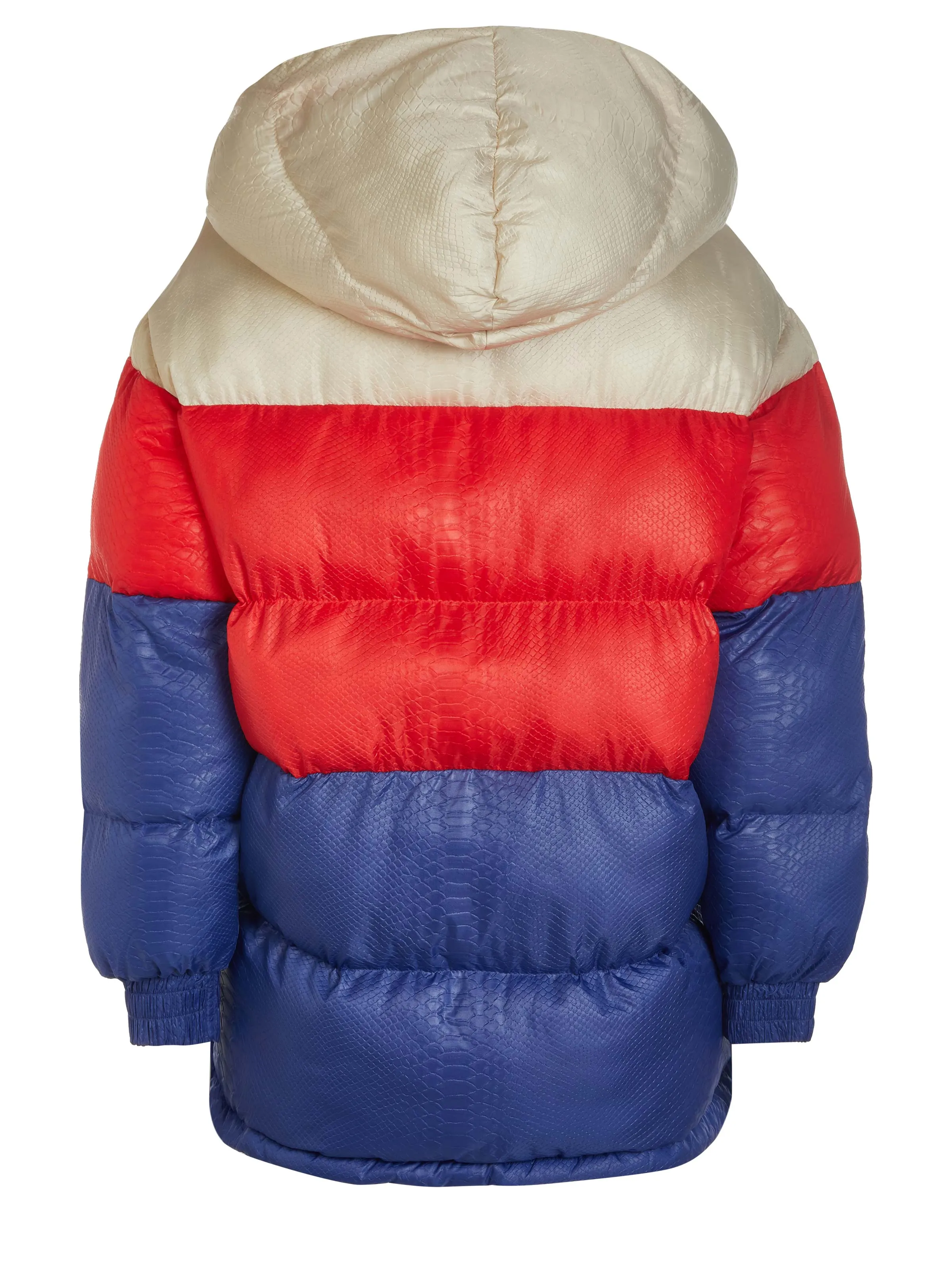 Multi-colored Champion Jacket.