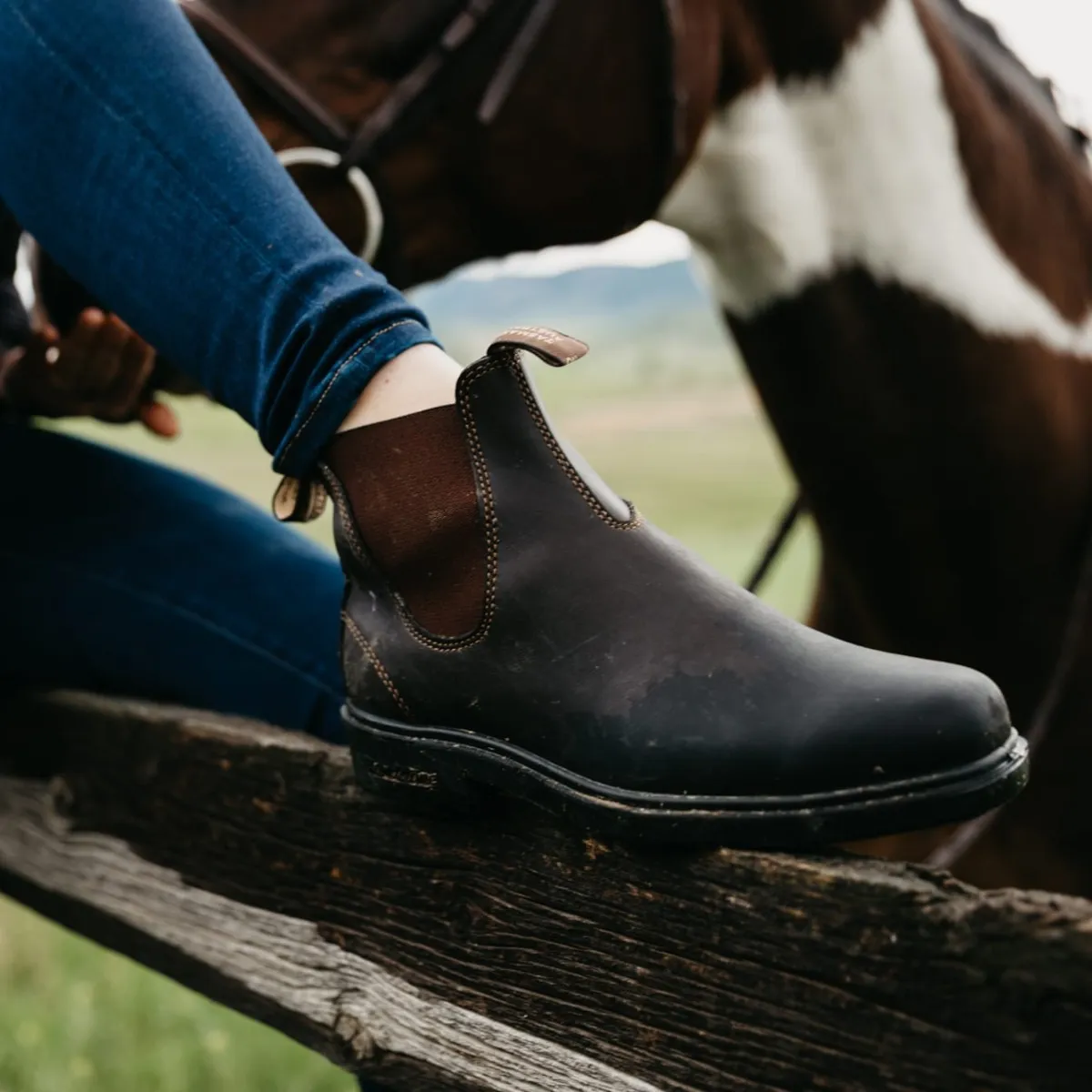 Stout Brown Chelsea Boots for Women